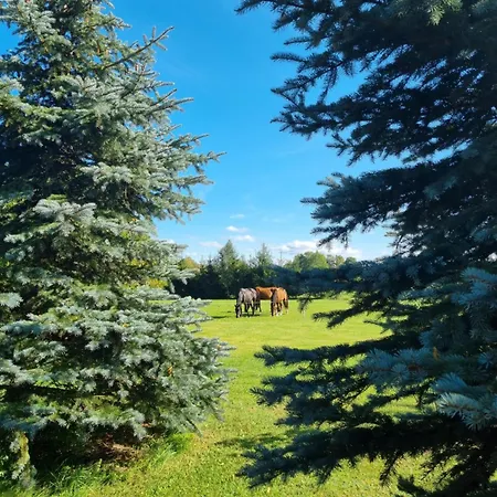 Sventoji Appartement